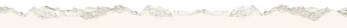 Torn Paper Top